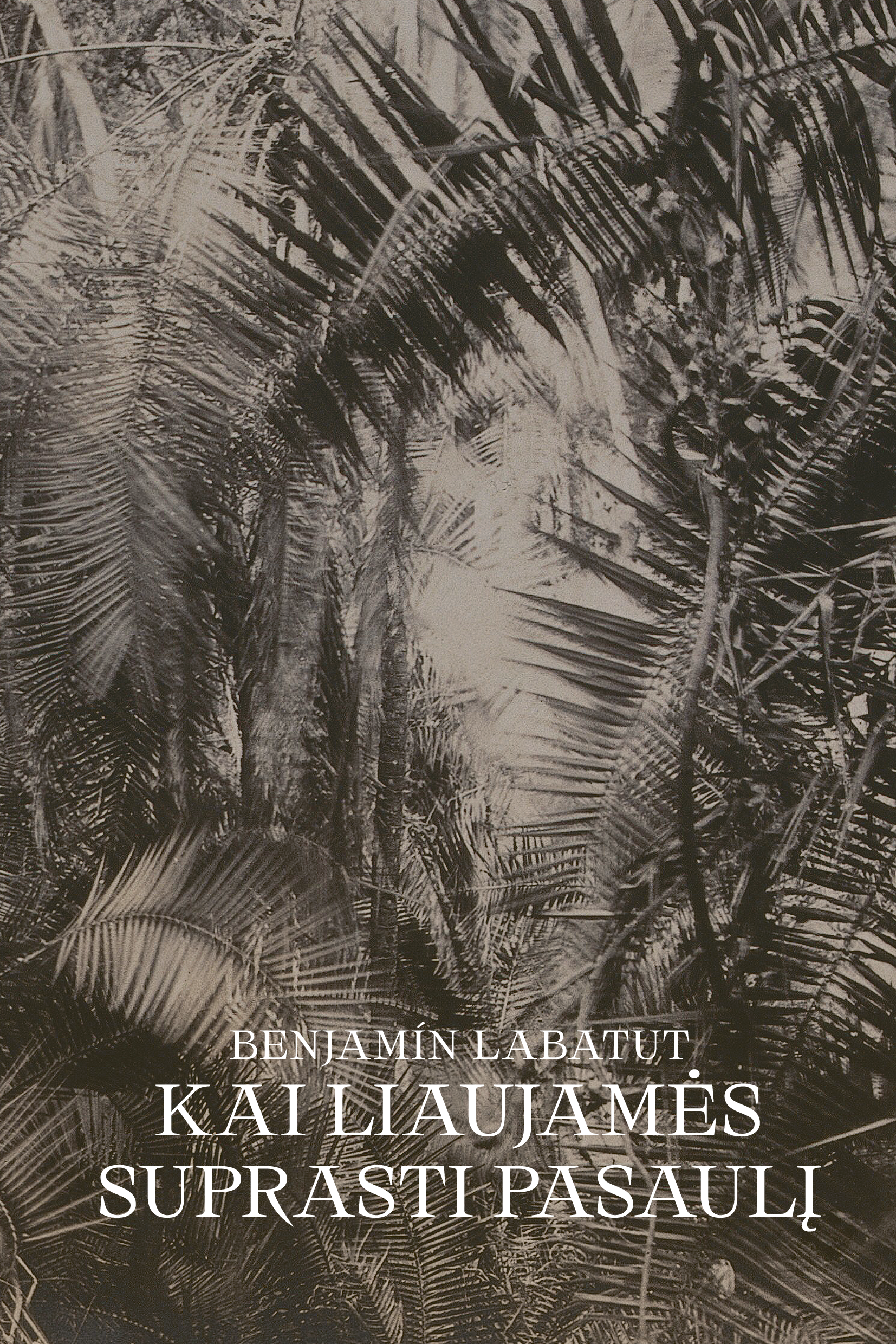 Kai liaujamės suprasti pasaulį