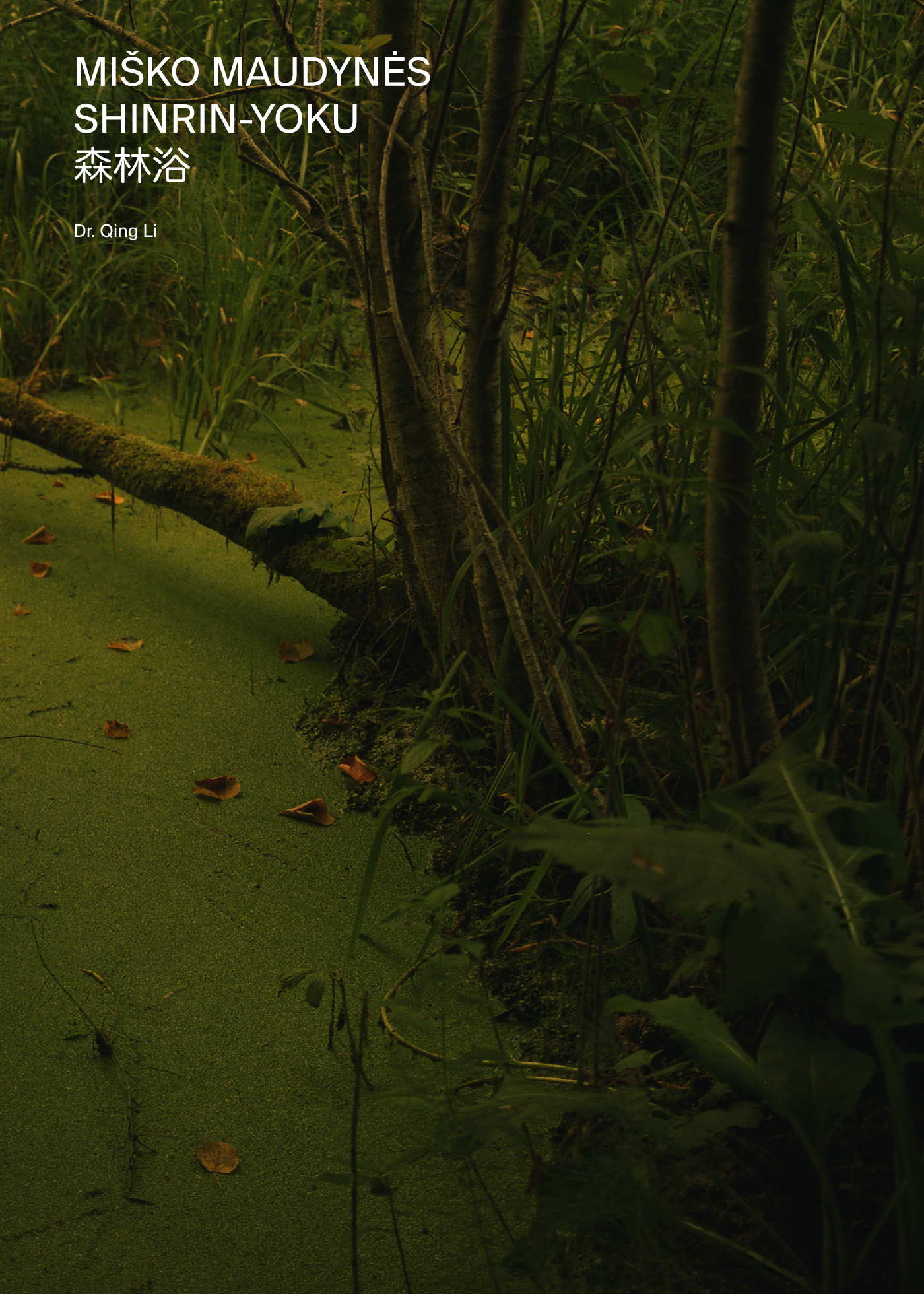 Miško maudynės. Shinrin-Yoku