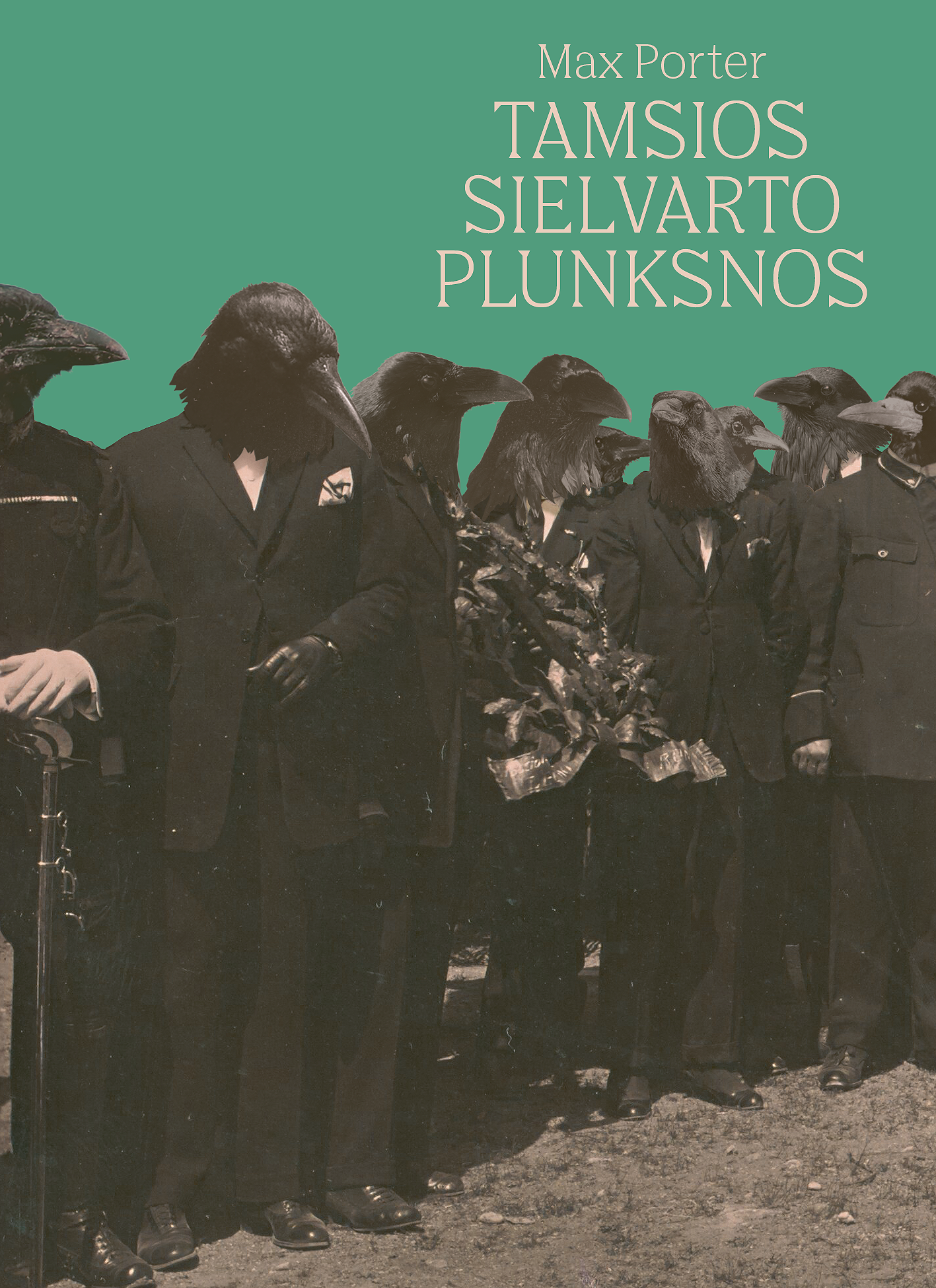 Tamsios sielvarto plunksnos