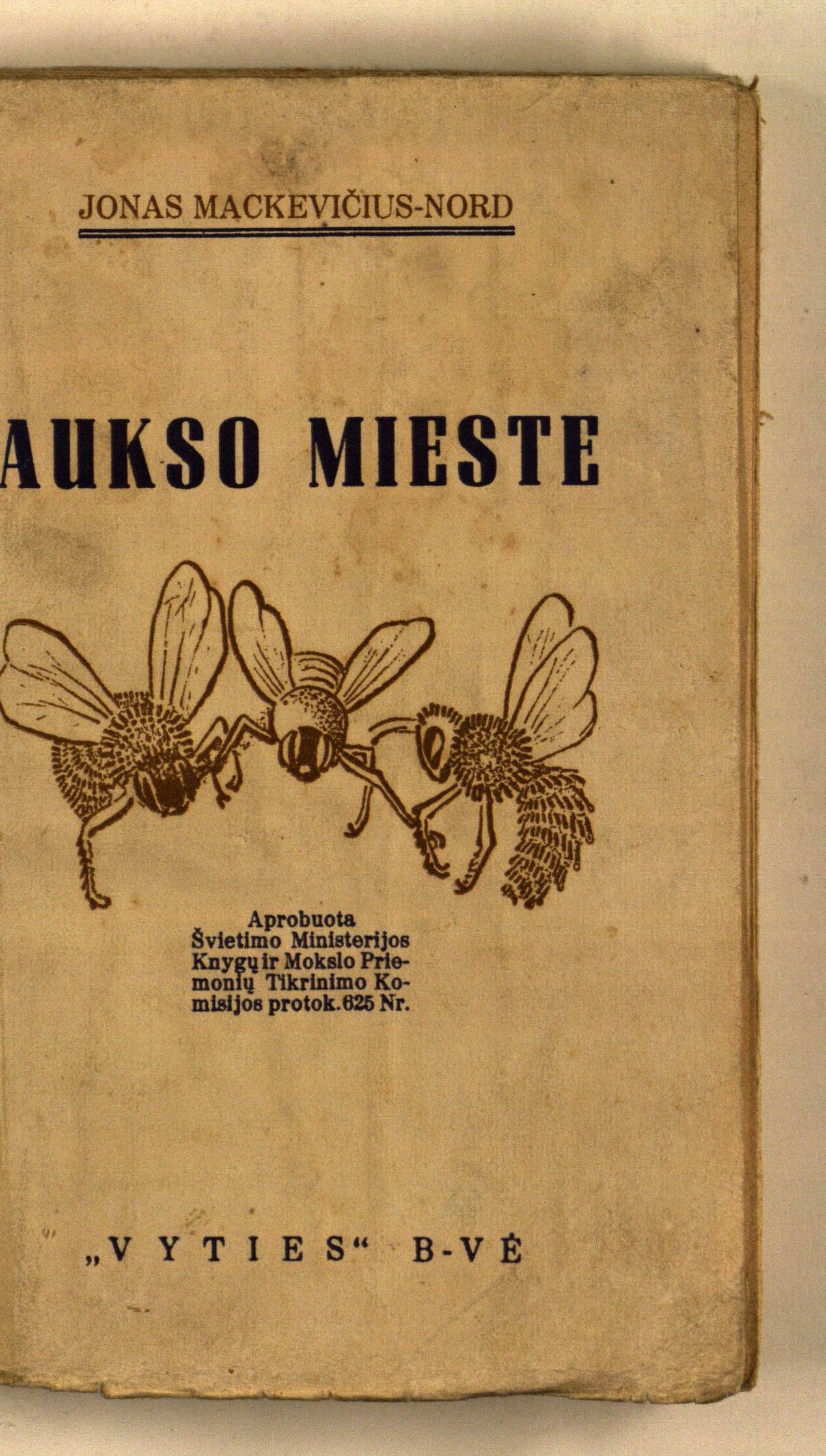 Aukso mieste. I tomas