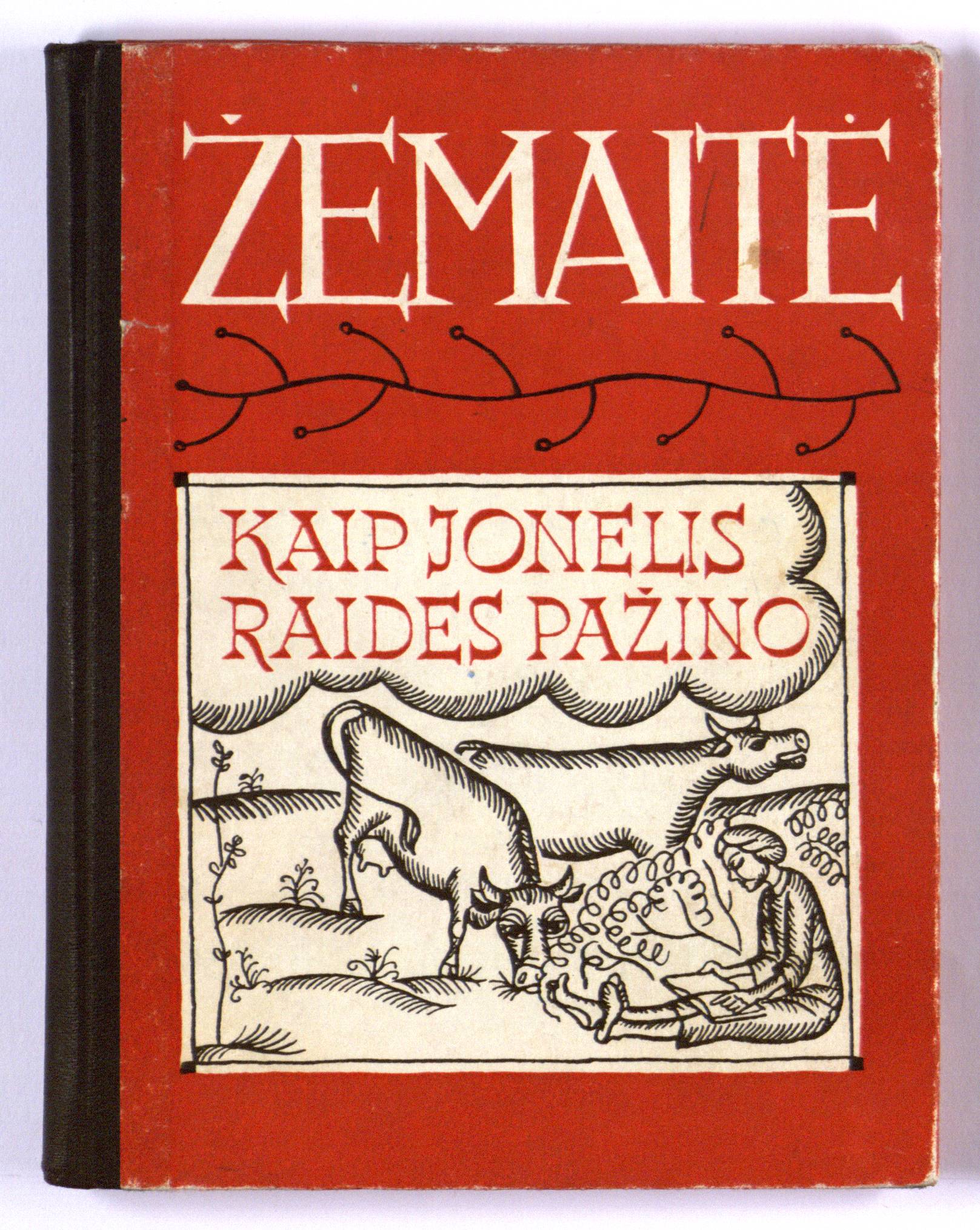 Kaip Jonelis raides pažino