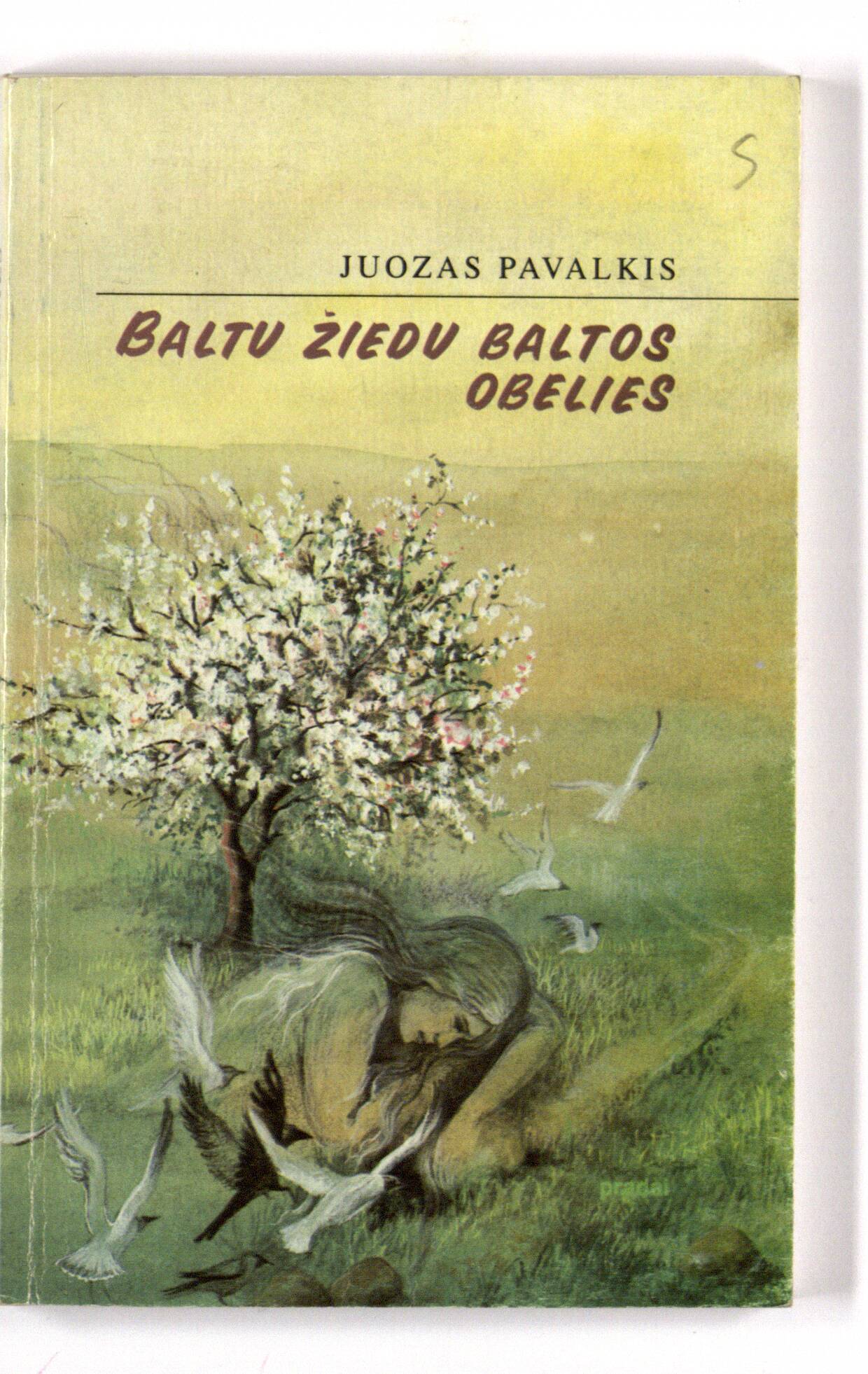 Baltu žiedu baltos obelies