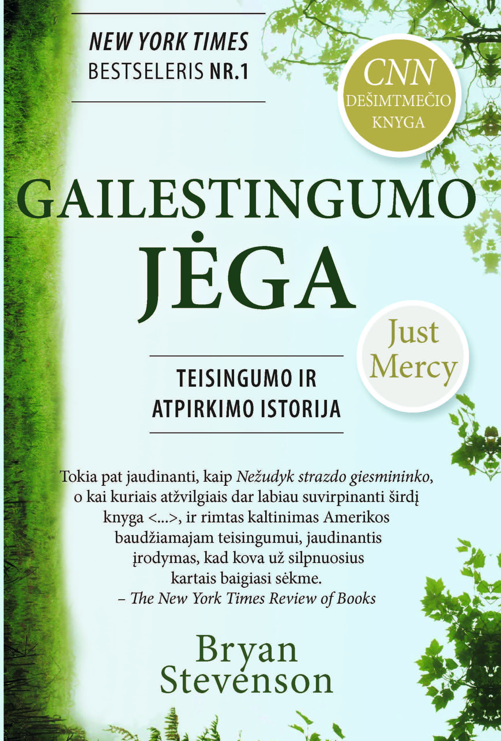 Gailestingumo jėga