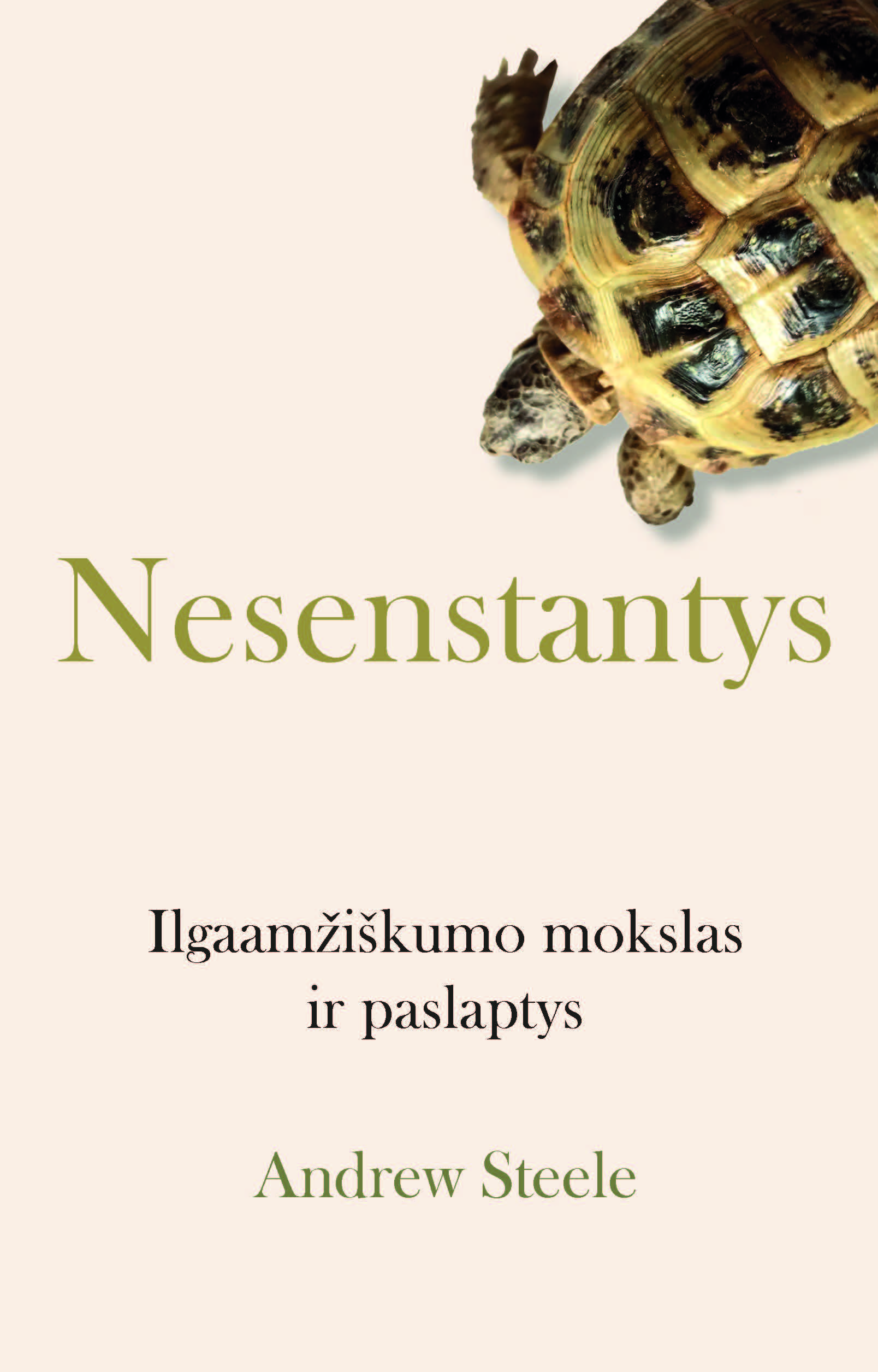 Nesenstantys