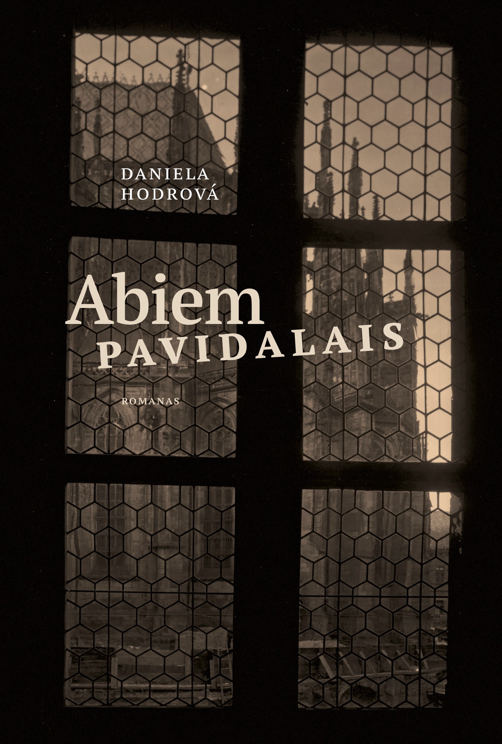 Abiem pavidalais (audioknyga)